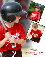 Princeville T-Ball - June 12, 2010